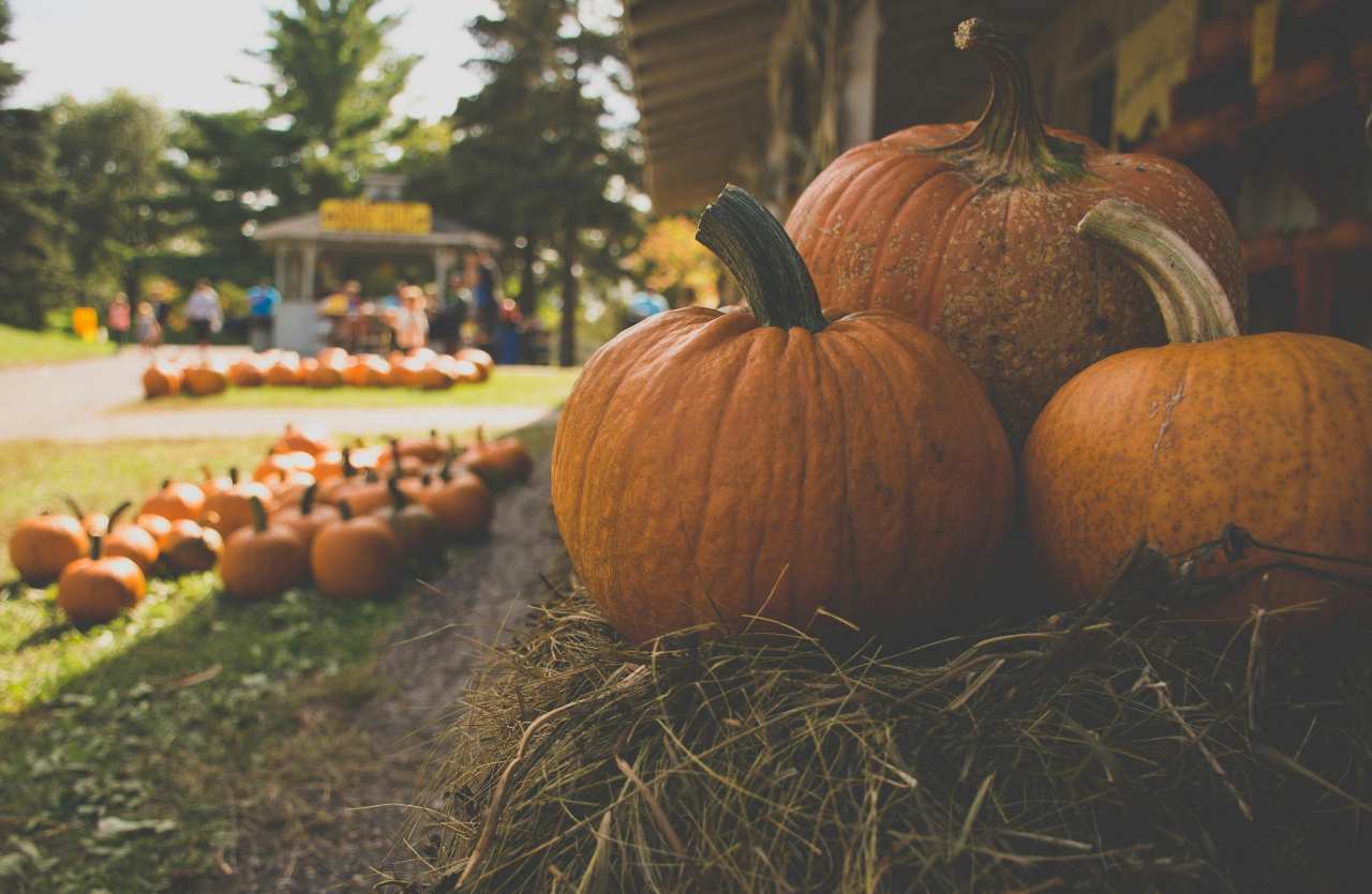 Weekend d’autunno in Lombardia: 10 sagre tra castagne, funghi e piatti tipici