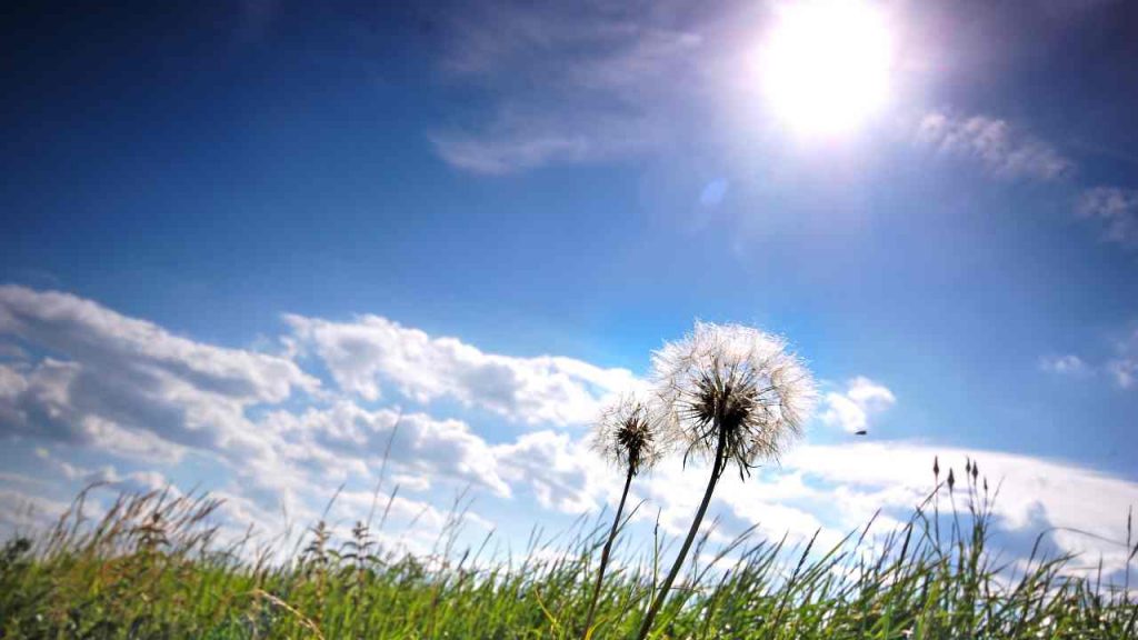 meteo nuovo
