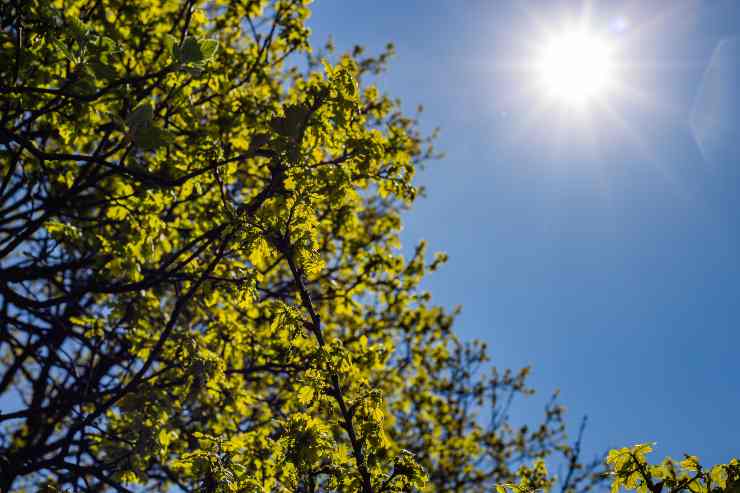 meteo nuovo, i dettagli