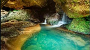 Oasi Sant'Alessio novità