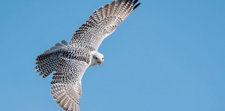 Oasi Sant'Alessio novitàm tutti i dettagli