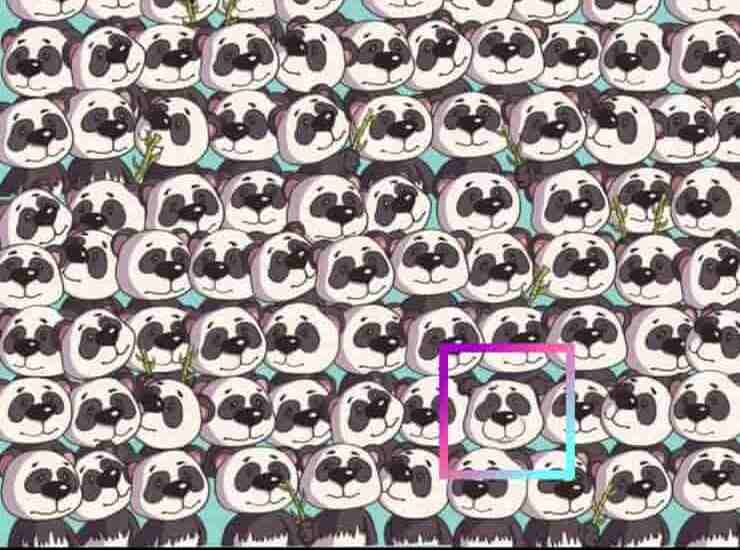 test dei panda, soluzione