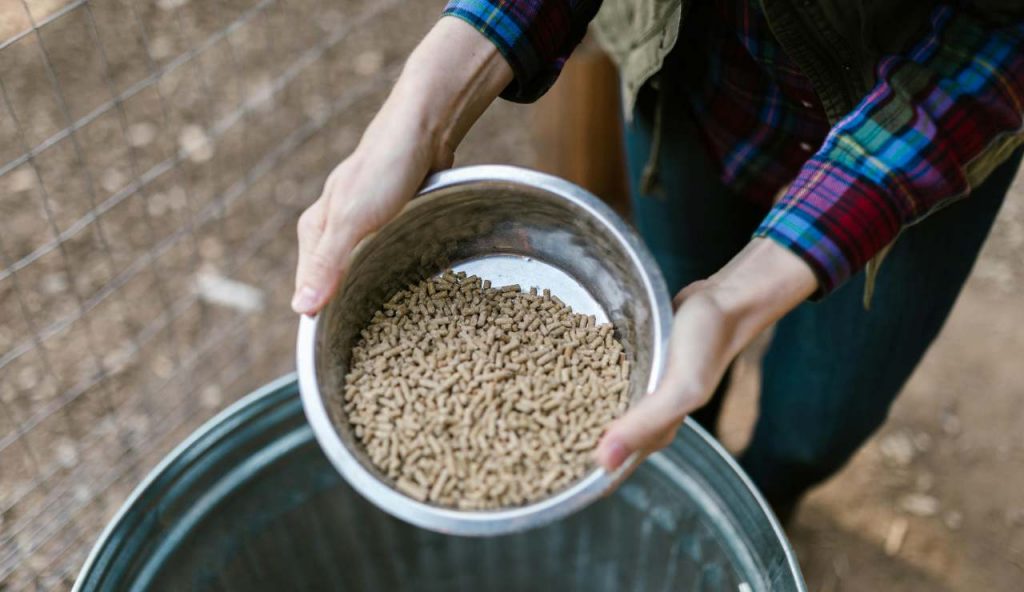 Stufe a pellet 2025: quando convengono davvero? | Efficienza fino al 90% e incentivi “Conto Termico” Enea